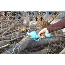 全自動(dòng)修枝剪，高效又省力