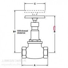 英國(guó)spiraxsarco斯派莎克HV3青銅截止閥