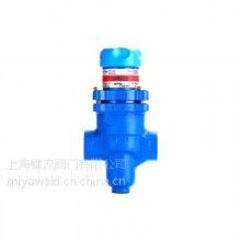 斯派莎克BRV2S減壓閥 _英國(guó)可調(diào)式減壓閥