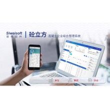 攪拌站系統(tǒng)軟件有哪些？思偉軟件砼行APP